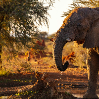 Namibia