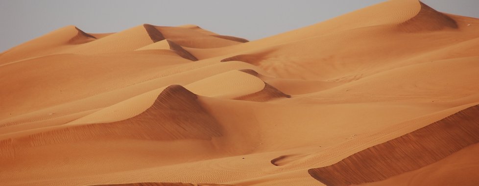 dubai deserto