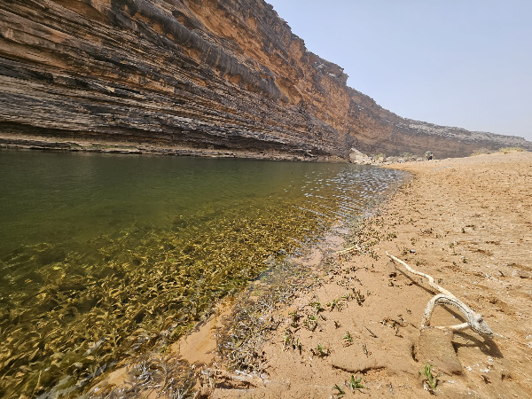 Mauritania