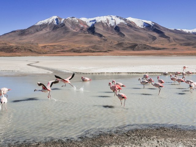 TOUR BOLIVIA SALAR E LA RUTA DEL CHE SPECIALE PASQUA 