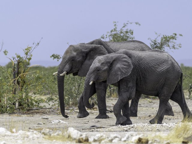 GRAN TOUR LE BELLEZZE DELLA NAMIBIA SPECIALE CAPODANNO PART. GARANTITA MIN. 2 PERSONE