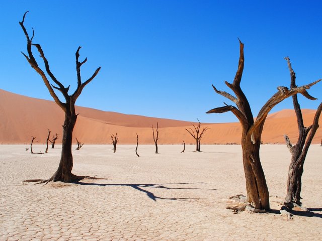 GRAN TOUR LE BELLEZZE DELLA NAMIBIA SPECIALE CAPODANNO