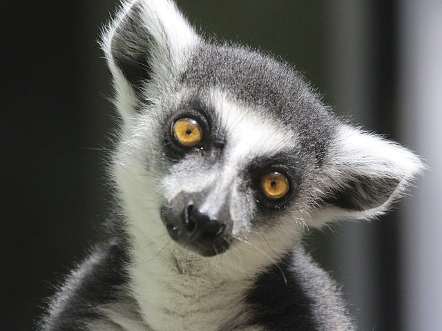 MADAGASCAR L'AUTENTICO GRANDE SUD E IL MARE