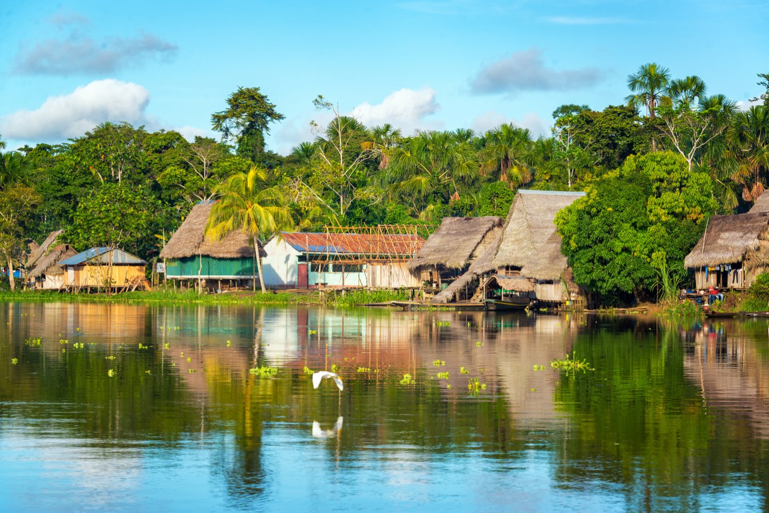 Viaggio Avventura in Amazzonia: Un'Esperienza unica con Mundo Escondido